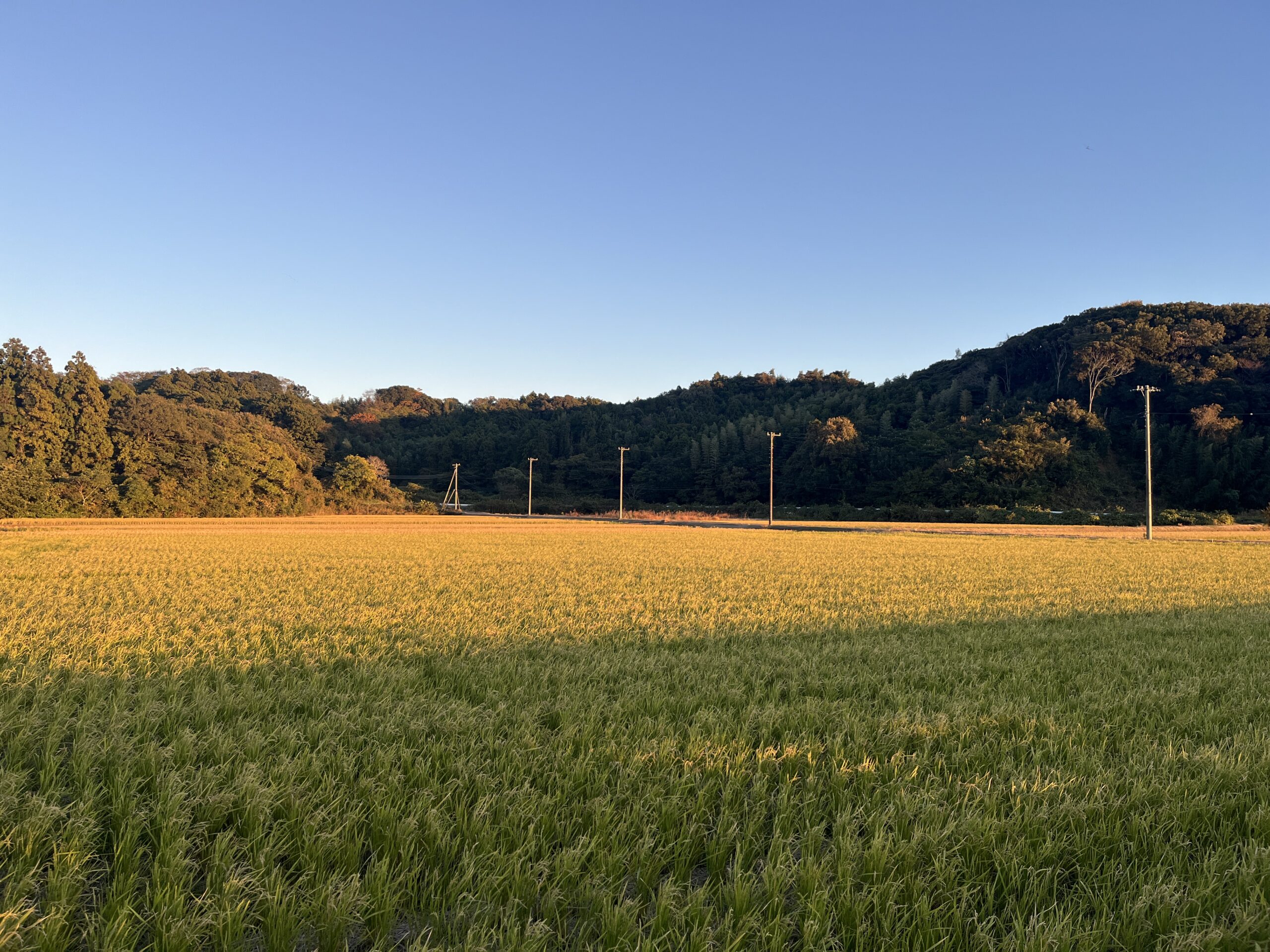 秋の田園風景